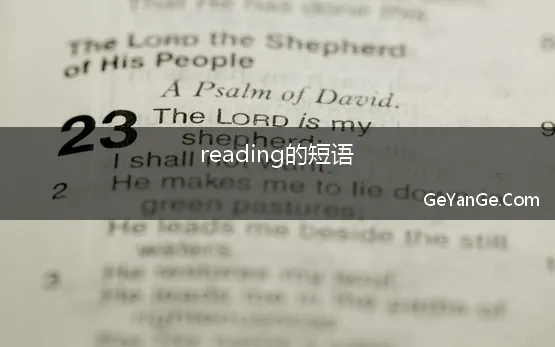 reading的短语