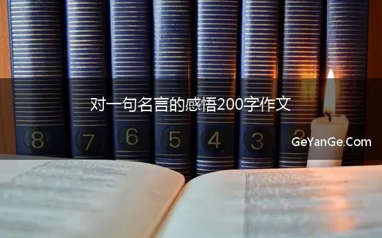 对一句名言的感悟200字作文